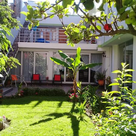 Casa Samaykuy Ayacucho Exterior foto